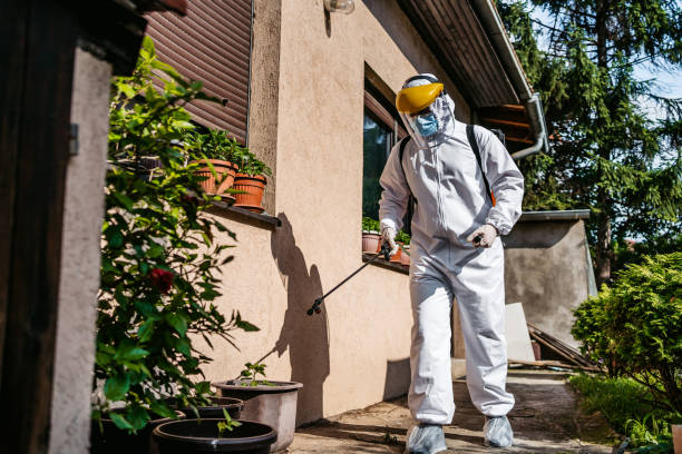 Best Pest Prevention Services  in Shasta, CA