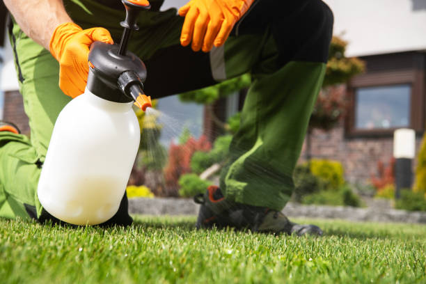 Best Rat Extermination Near Me  in Shasta, CA