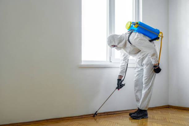 Best Bed Bug Extermination  in Shasta, CA