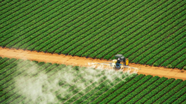 Reliable Shasta, CA Pest Control Solutions