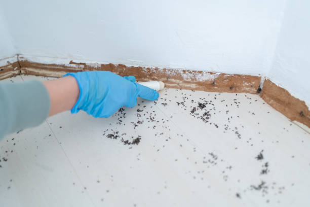 Best Best Pest Control Companies  in Shasta, CA