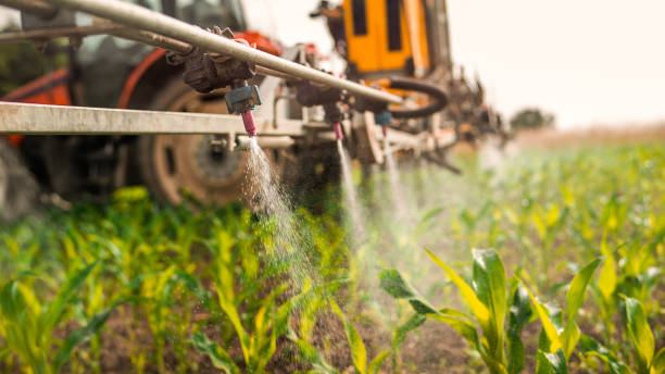 Best Ant Control Services  in Shasta, CA