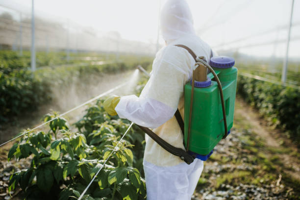 Best Commercial Pest Control Services  in Shasta, CA